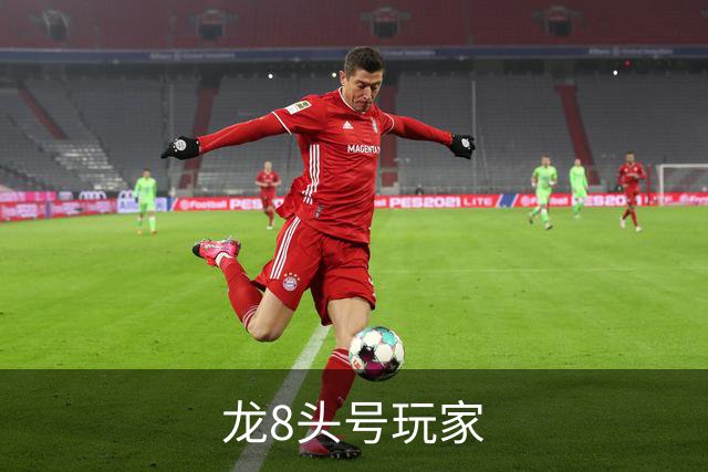 关于龙8头号玩家